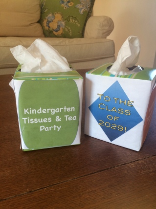 Kindergarten Tissue Boxes 1