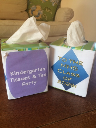 Kindergarten Tissue Boxes